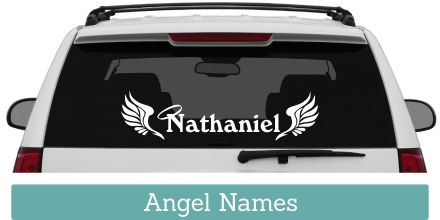 Everyone knows at least one Angel that they need to remember with a personalized memorial car window decal